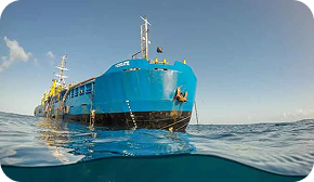 primasea 1